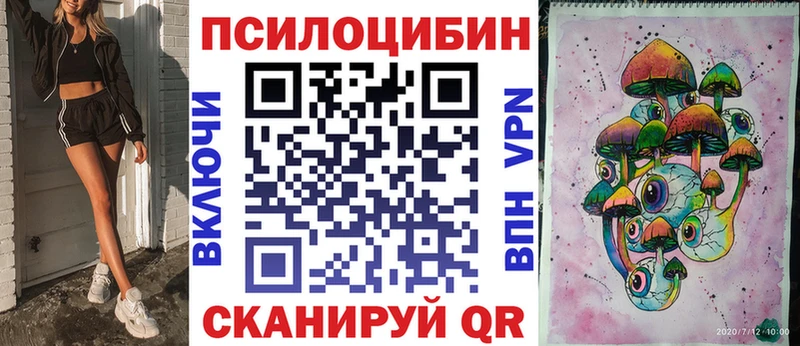Купить где  Мурино  Псилоцибиновые грибы MAGIC MUSHROOMS 
